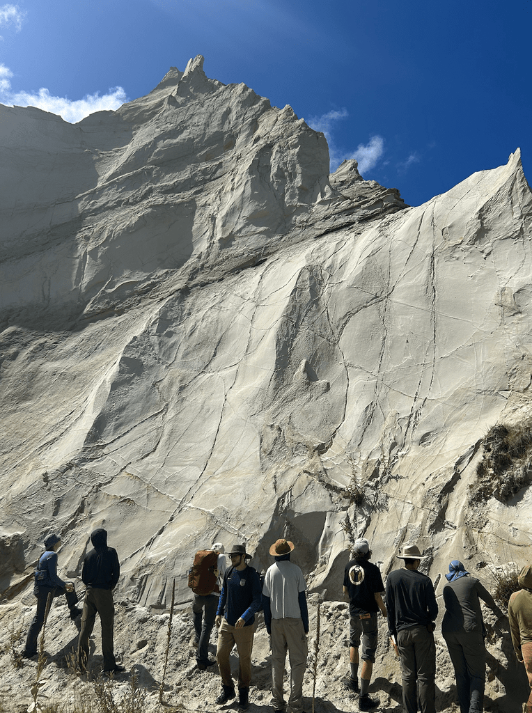 Classmates look at a sandstone with deformation bands